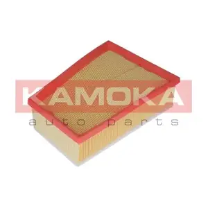 KAMOKA F234101