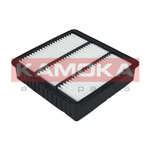 KAMOKA F232601