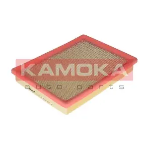 KAMOKA F216801
