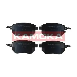 JQ101113 KAMOKA