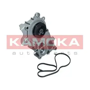 KAMOKA T0286