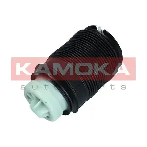 2079043 KAMOKA