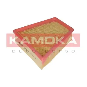 KAMOKA F205101