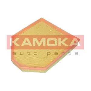 F243401 KAMOKA