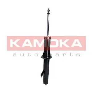 2000716 KAMOKA