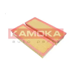 KAMOKA F227201