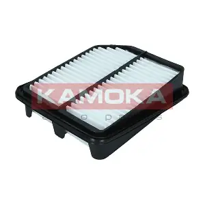 F249901 KAMOKA