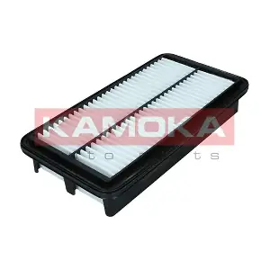 F250701 KAMOKA