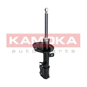 2000197 KAMOKA