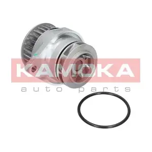 T0249 KAMOKA