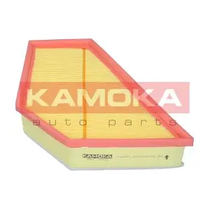F249501 KAMOKA