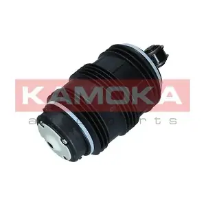 2079053 KAMOKA