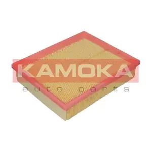 KAMOKA F225001