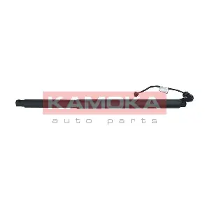 7094066 KAMOKA