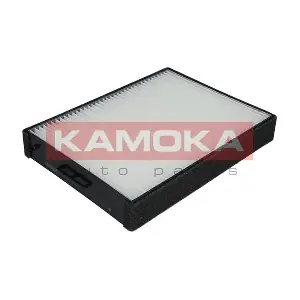 KAMOKA F409601