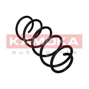 2110619 KAMOKA