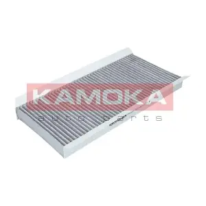 KAMOKA F502901