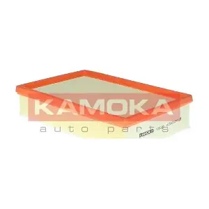 F260201 KAMOKA