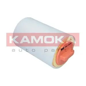 KAMOKA F254101
