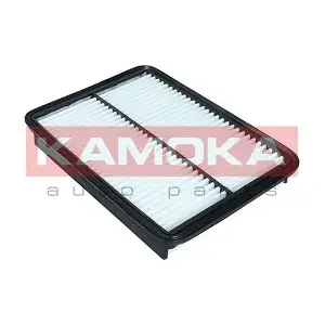 F245501 KAMOKA