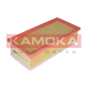 F213201 KAMOKA