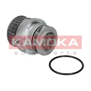 KAMOKA T0026