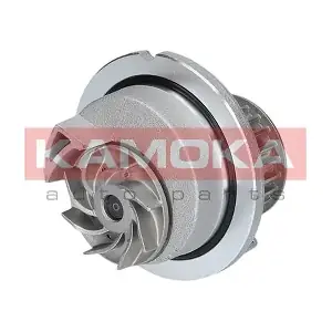 KAMOKA T0236
