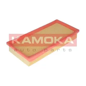 KAMOKA F213301