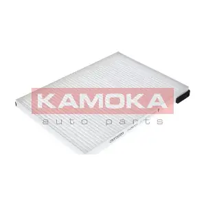 KAMOKA F408501