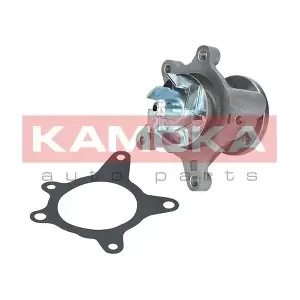 T0163 KAMOKA