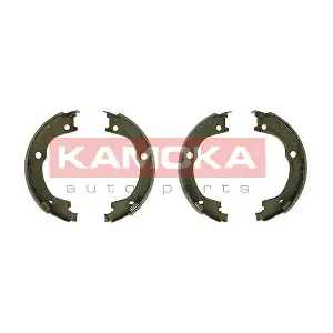 JQ212067 KAMOKA