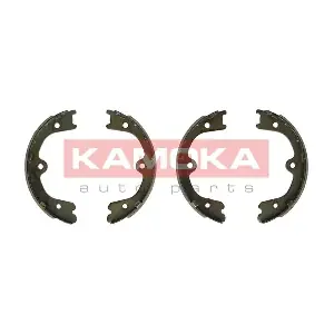 KAMOKA JQ212069
