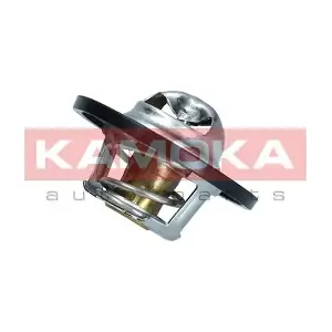 7710071 KAMOKA