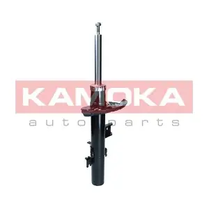 2001289 KAMOKA