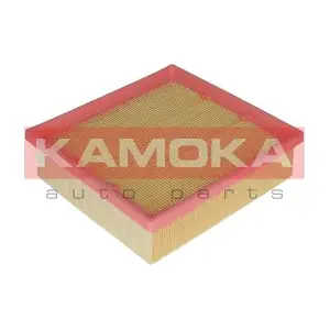 KAMOKA F222001