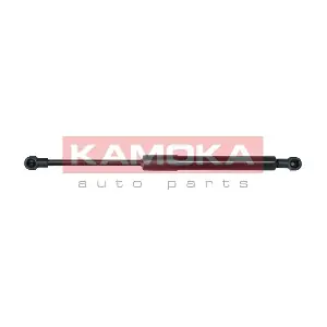 7091024 KAMOKA