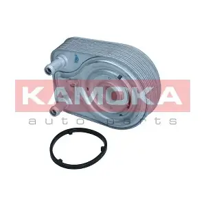 7730148 KAMOKA