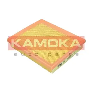 F249701 KAMOKA