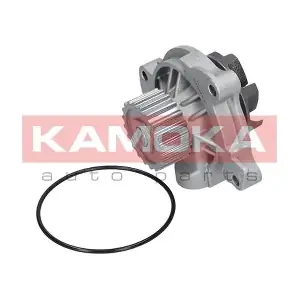 KAMOKA T0042
