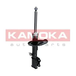 2000196 KAMOKA