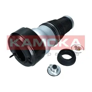 2079052 KAMOKA