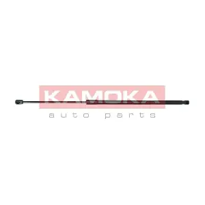 7091154 KAMOKA