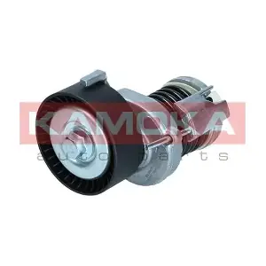 R0565 KAMOKA
