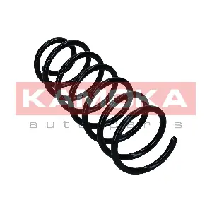 2120480 KAMOKA