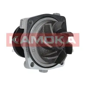 KAMOKA T0011