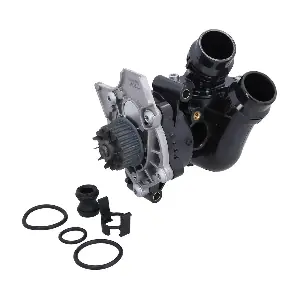 KAMOKA T0329