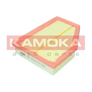 F259901 KAMOKA