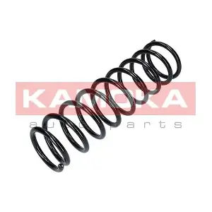 2110084 KAMOKA