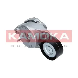 R0039 KAMOKA