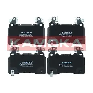 JQ101073 KAMOKA